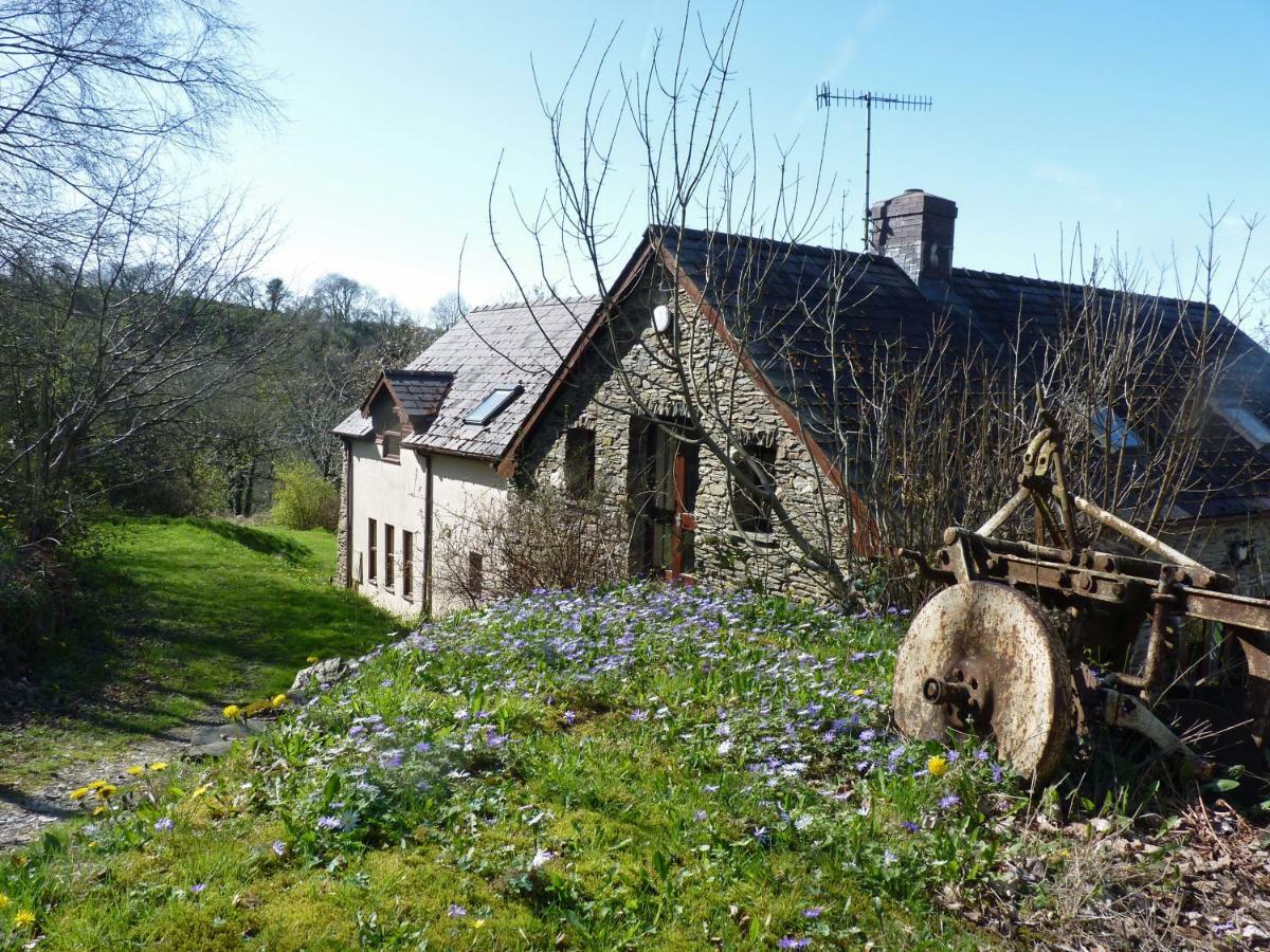 Ceridwen Holiday Homes Llandysul Ngoại thất bức ảnh
